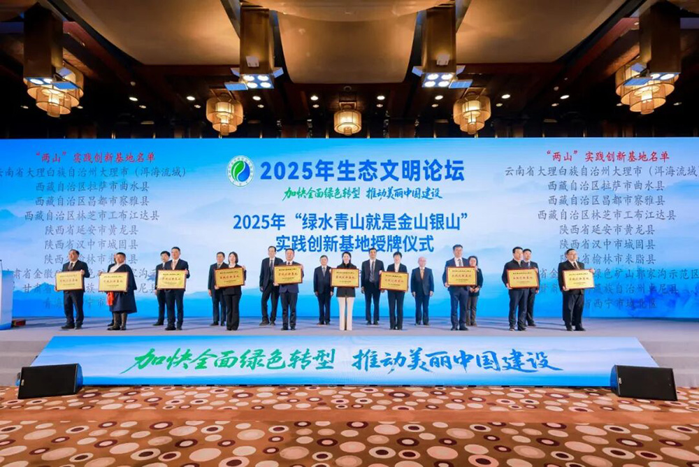 202512261766710908494400.jpg 22.jpg