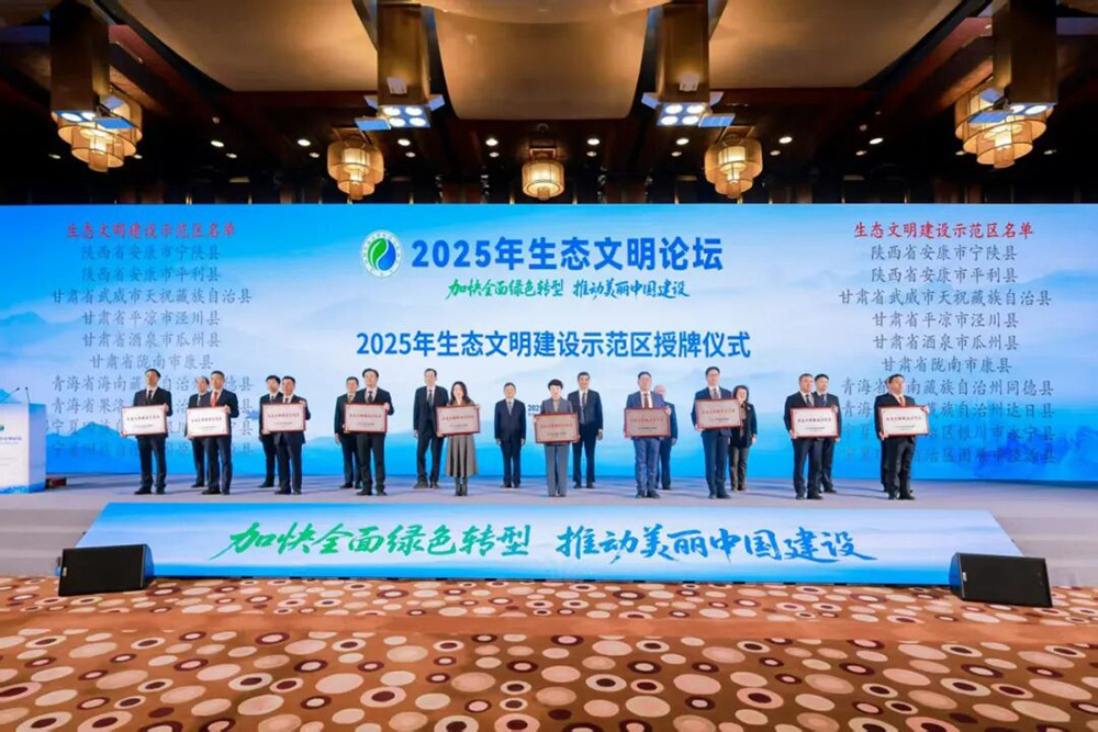 202512261766710921637408.jpg 33.jpg